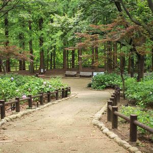 愛犬を公園や河川敷に
