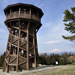ヤビツ峠・菜の花台