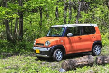 そんなに種類があるの？軽自動車ボディタイプ別の特徴とメリット