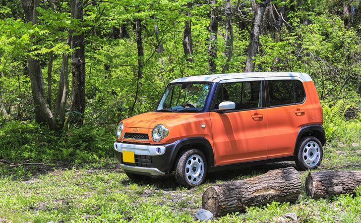 軽自動車ボディタイプ