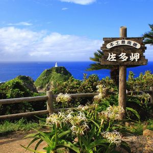 佐多岬