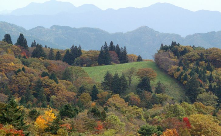 愛知県の紅葉を楽しめるドライブコース