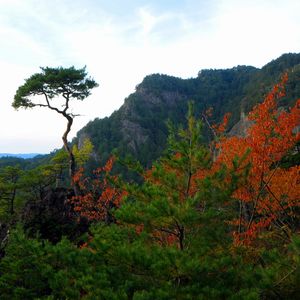鳳来寺山
