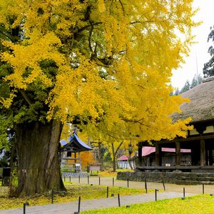 新宮熊野神社