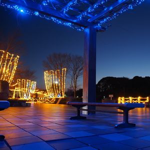 蓮華寺池公園
