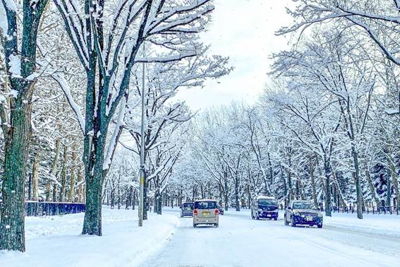 雪道